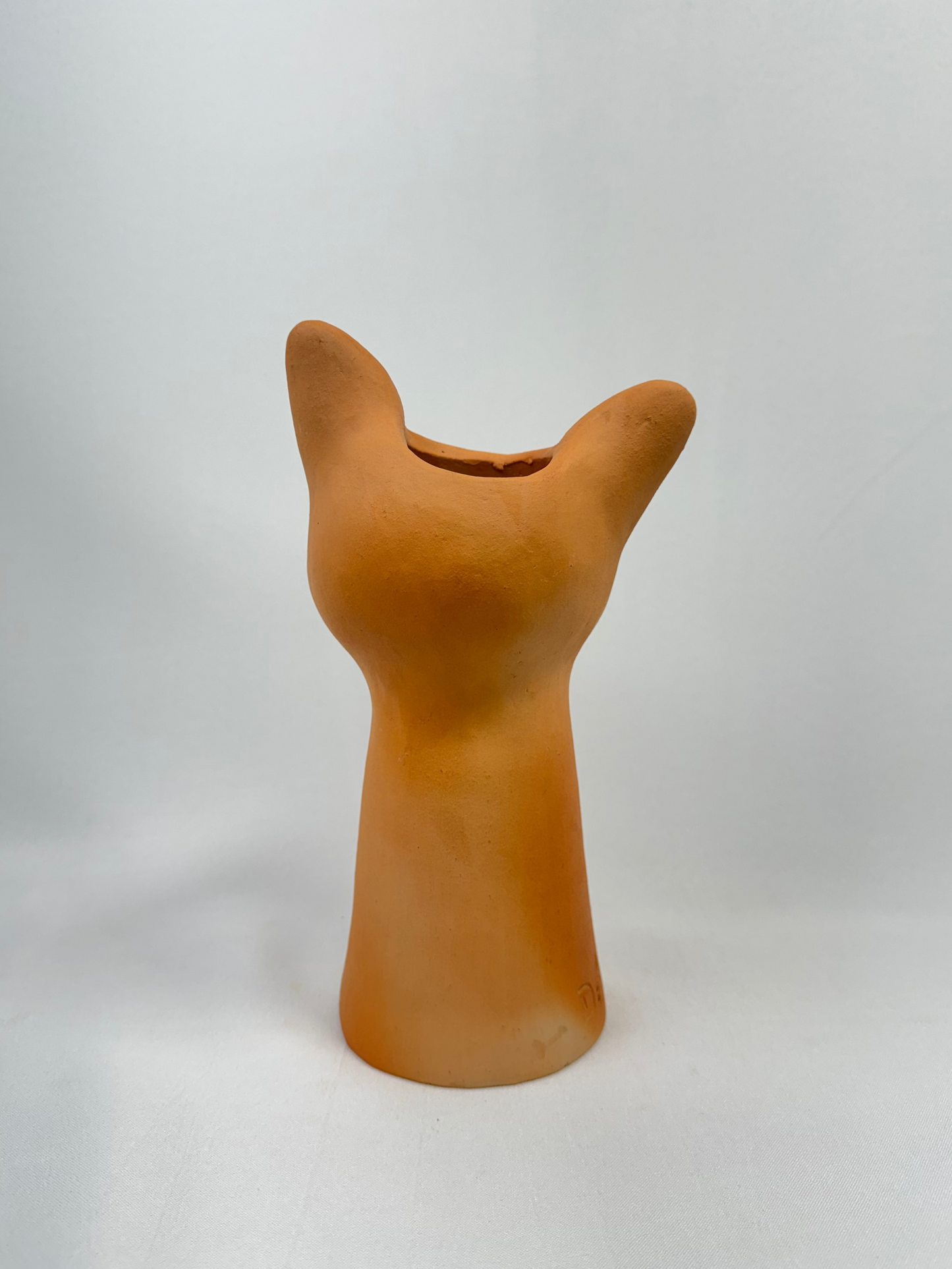 Vaso Felino Alongado