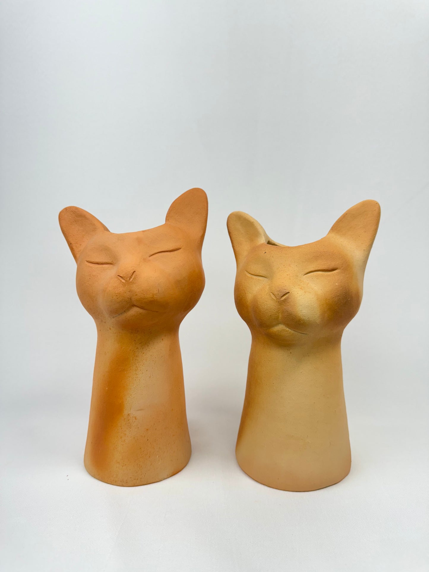 Vaso Felino Alongado