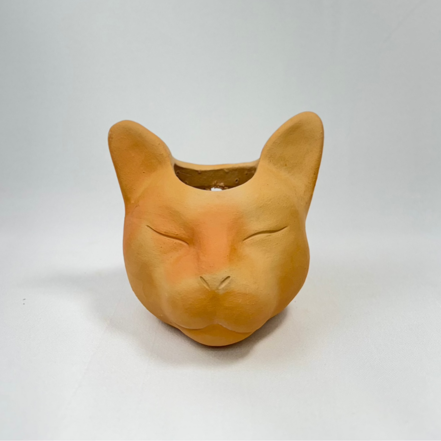 Vaso Felino