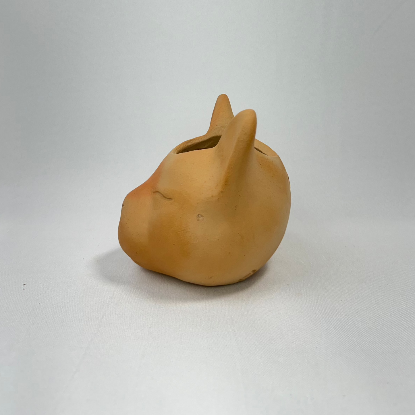 Vaso Felino