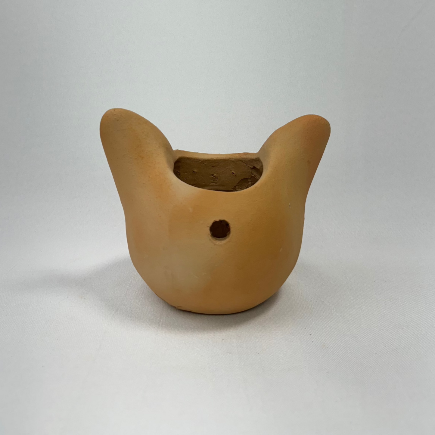 Vaso Felino