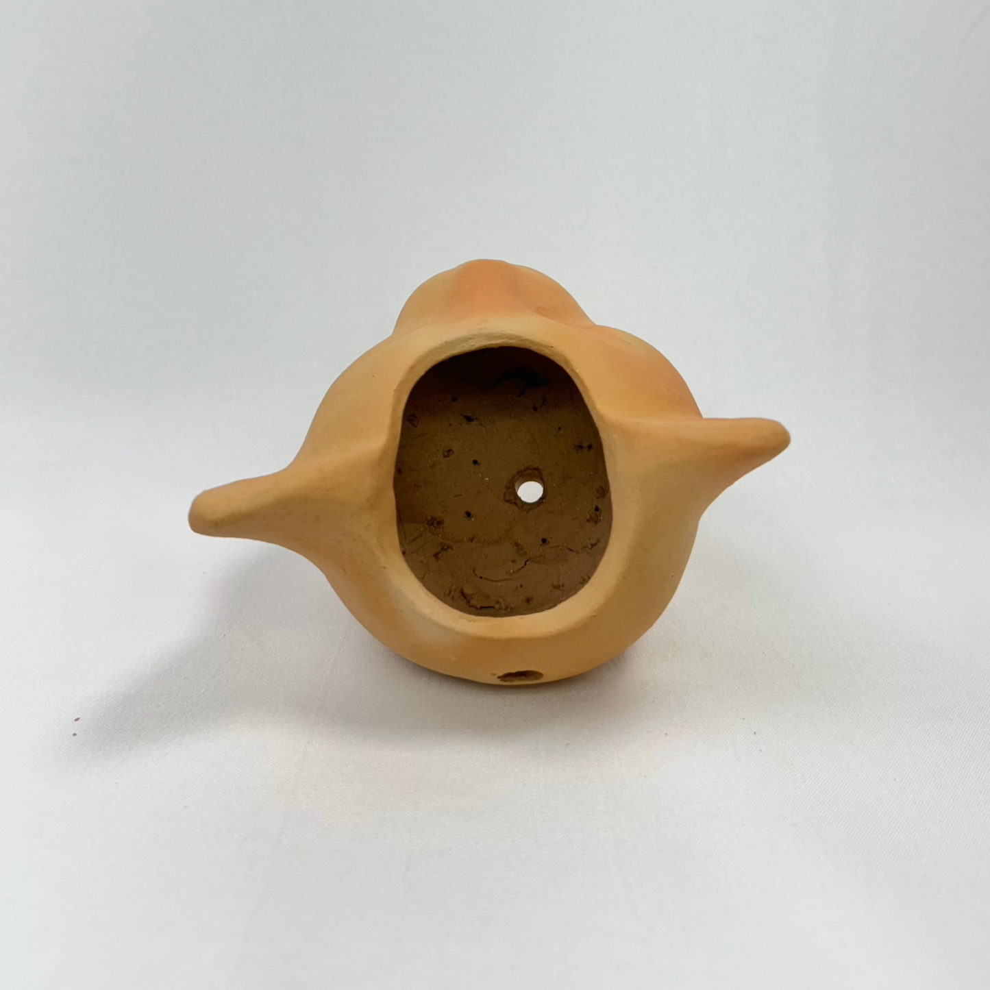 Vaso Felino