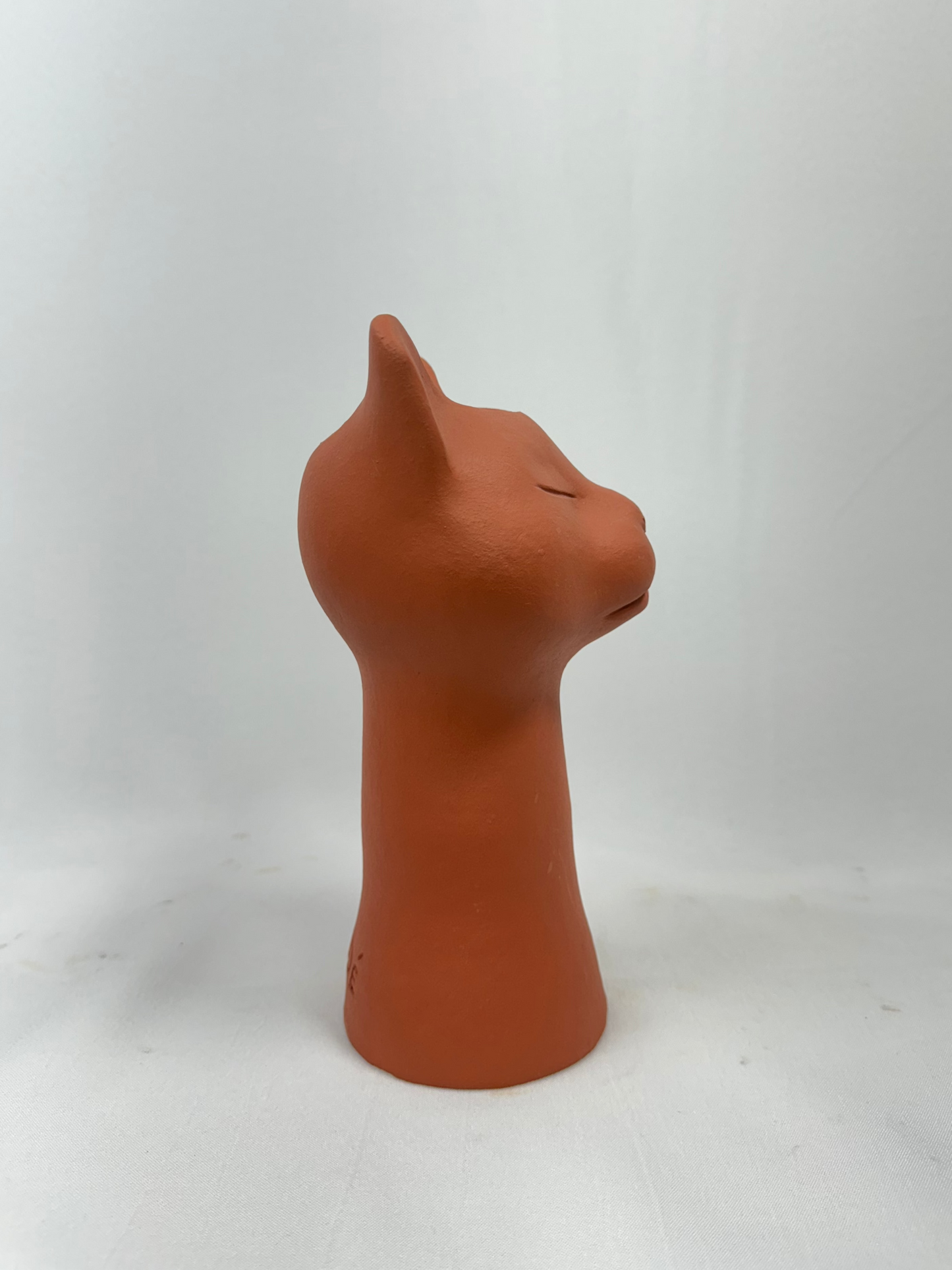 Vaso Felino Alongado