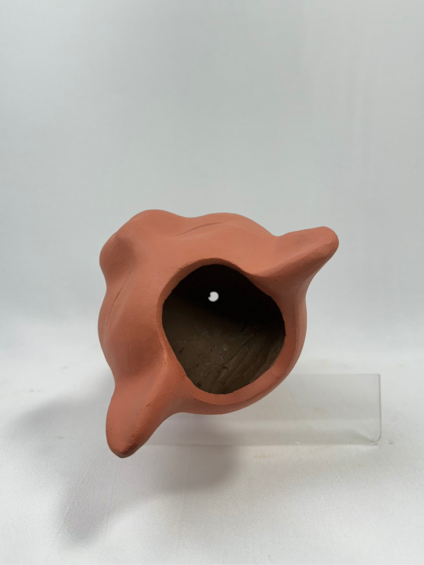 Vaso Felino Alongado