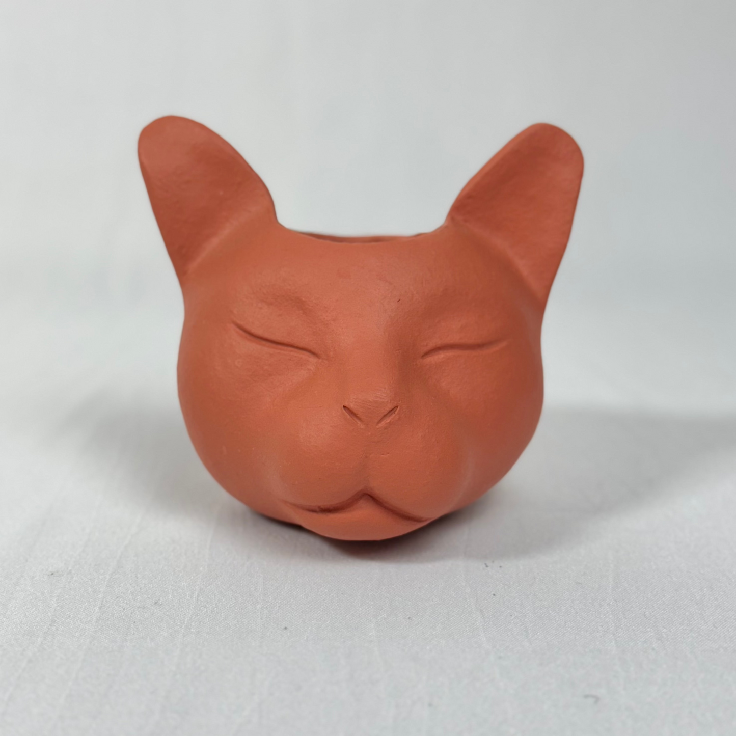 Vaso Felino