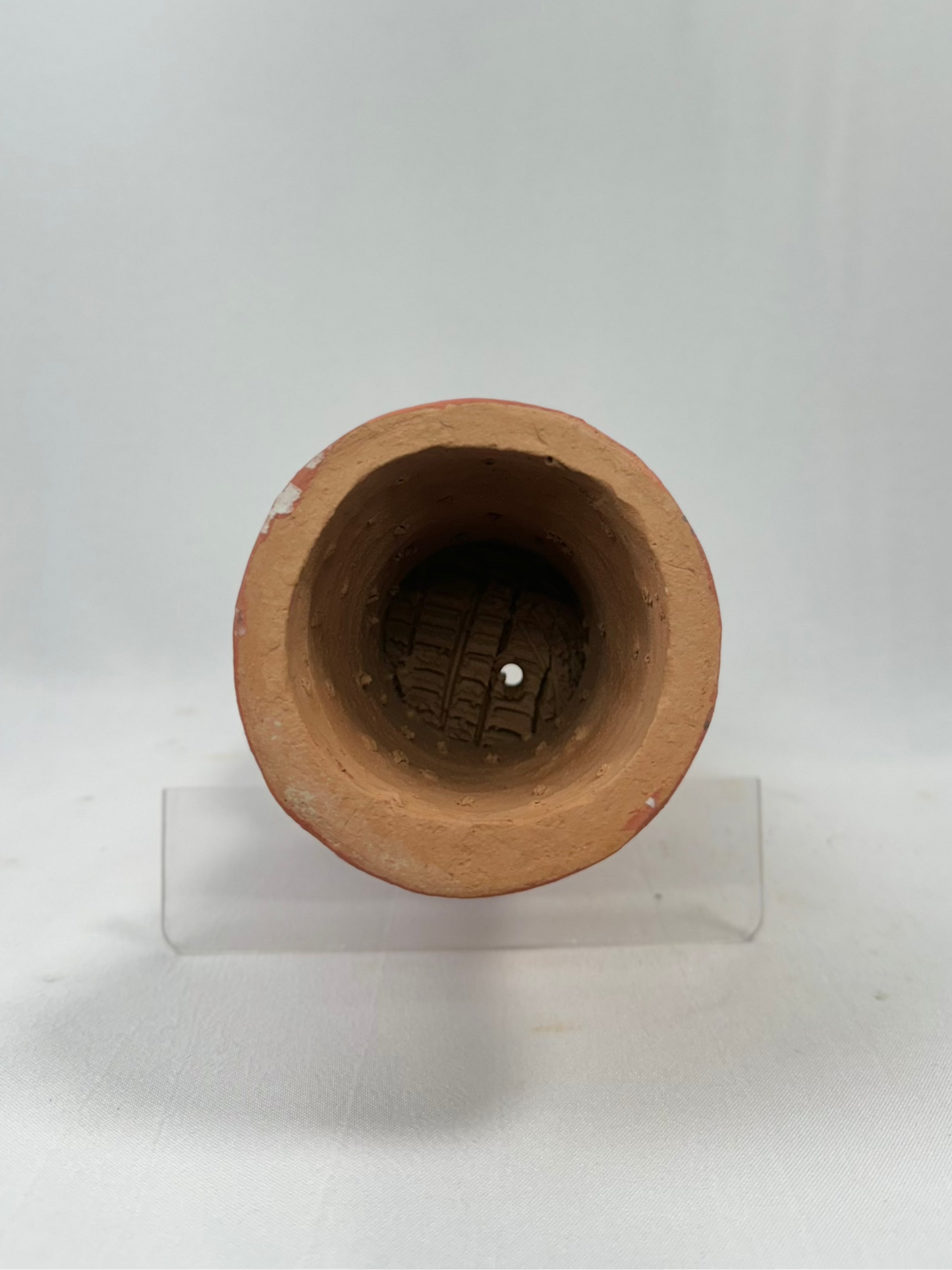 Vaso Felino Alongado