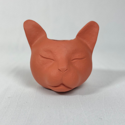 Vaso Felino