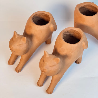 Vaso Gato Preguiça